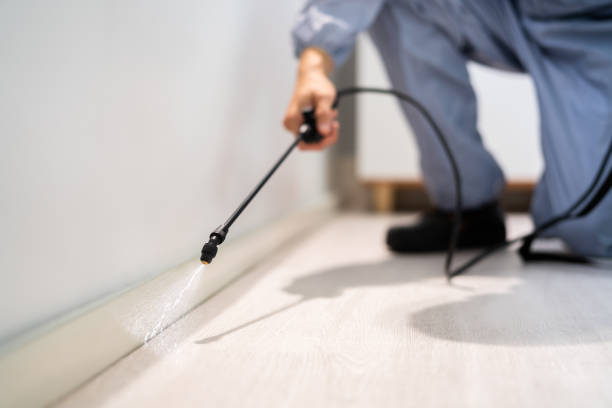 Licensed Termite Control service in Mecklenburg County County, VA - Nex Pest Control