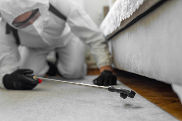 Professional Termite Control technician working in Mecklenburg County County, VA